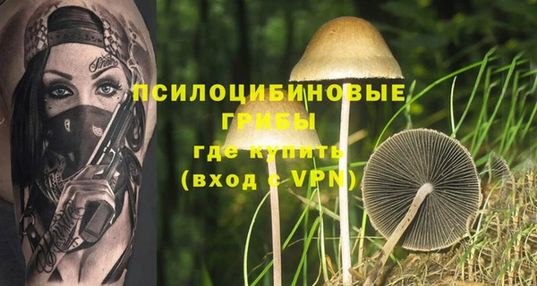 MDMA Premium VHQ Верхний Тагил