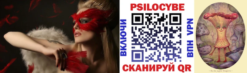 Псилоцибиновые грибы мицелий  цены наркотик  Ставрополь 