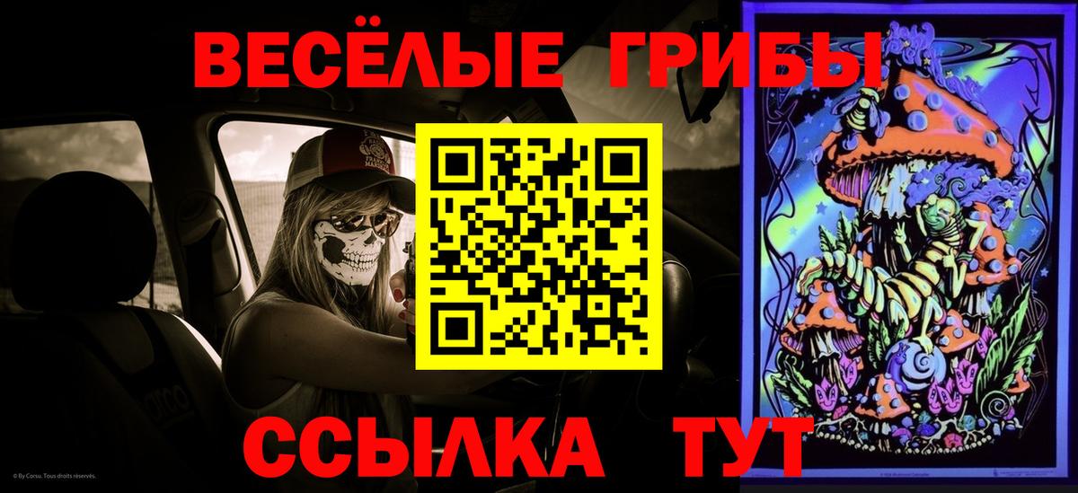 Галлюциногенные грибы мухоморы Ставрополь