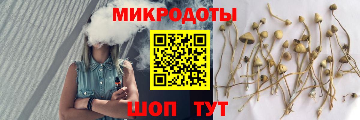 Ставрополь  Галлюциногенные грибы мицелий  Вход с VPN 